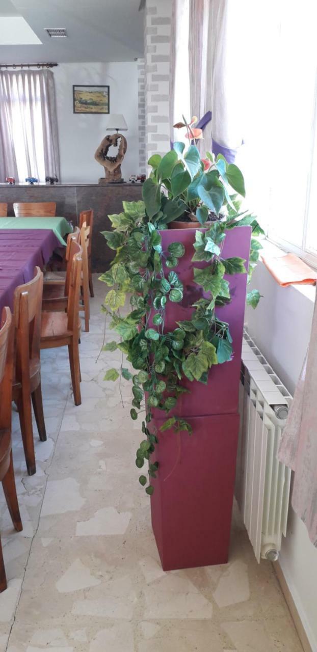 Hostal El Tropezon Matallana de Valmadrigal Екстериор снимка